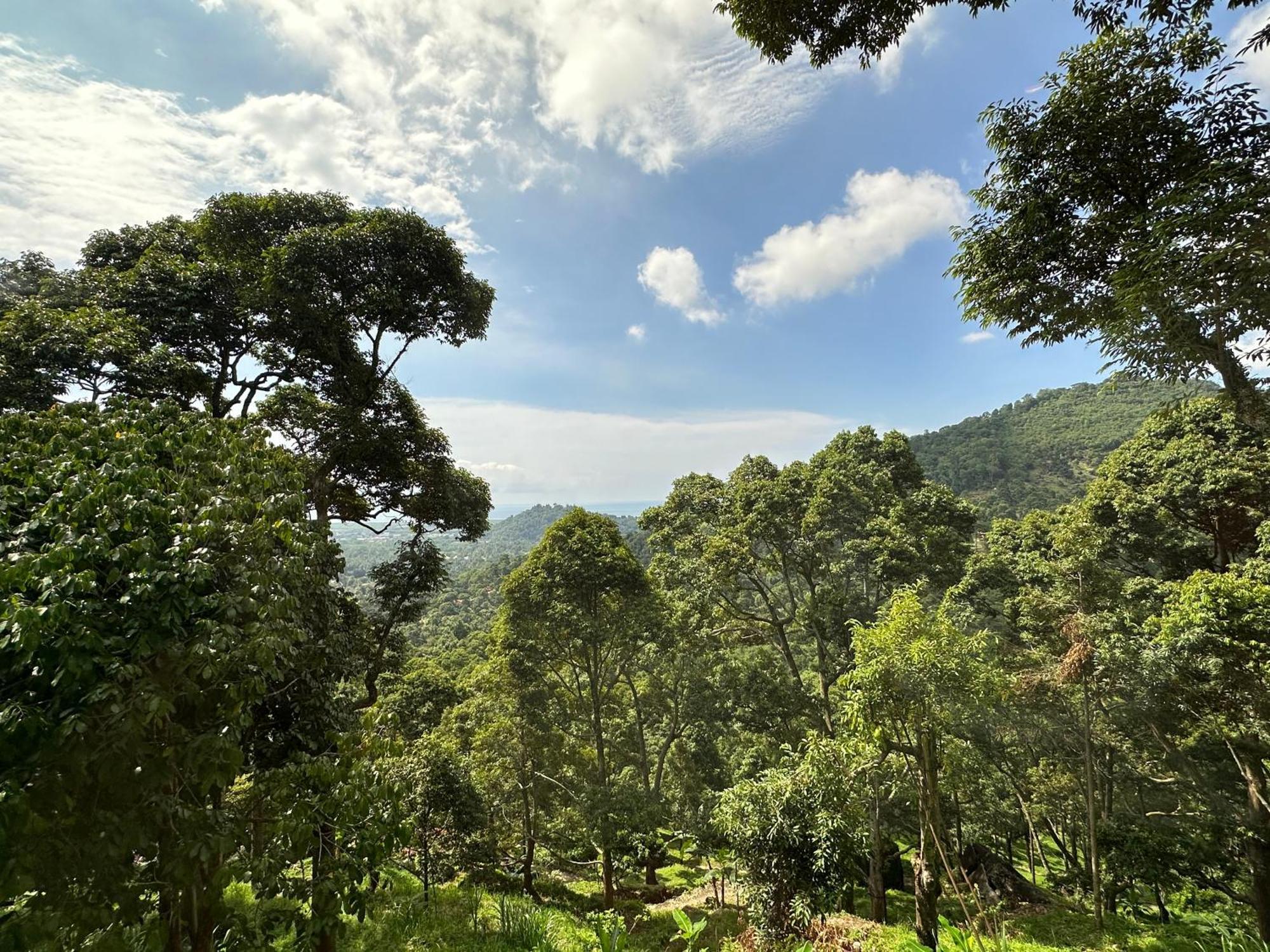 Bao Sheng Durian Farm Villa Balik Pulau Ngoại thất bức ảnh